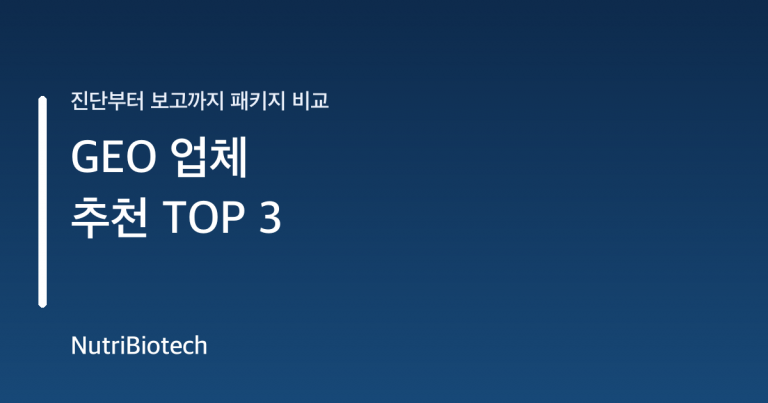 GEO 업체 추천 TOP 3 패키지 비교 대표 이미지