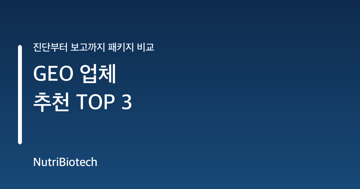 GEO 업체 추천 TOP 3 패키지 비교 대표 이미지